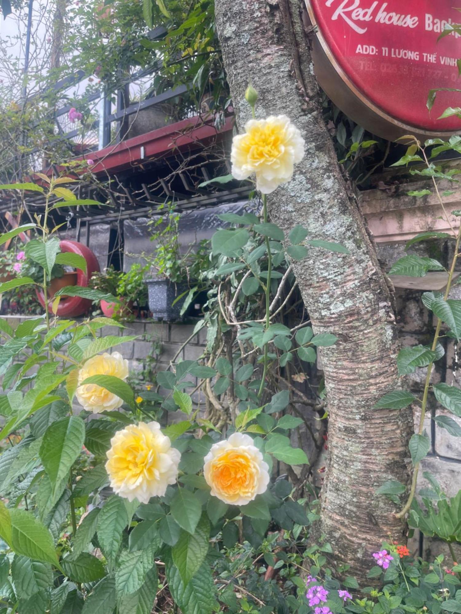 Redhouse Dalat Hotel Kültér fotó